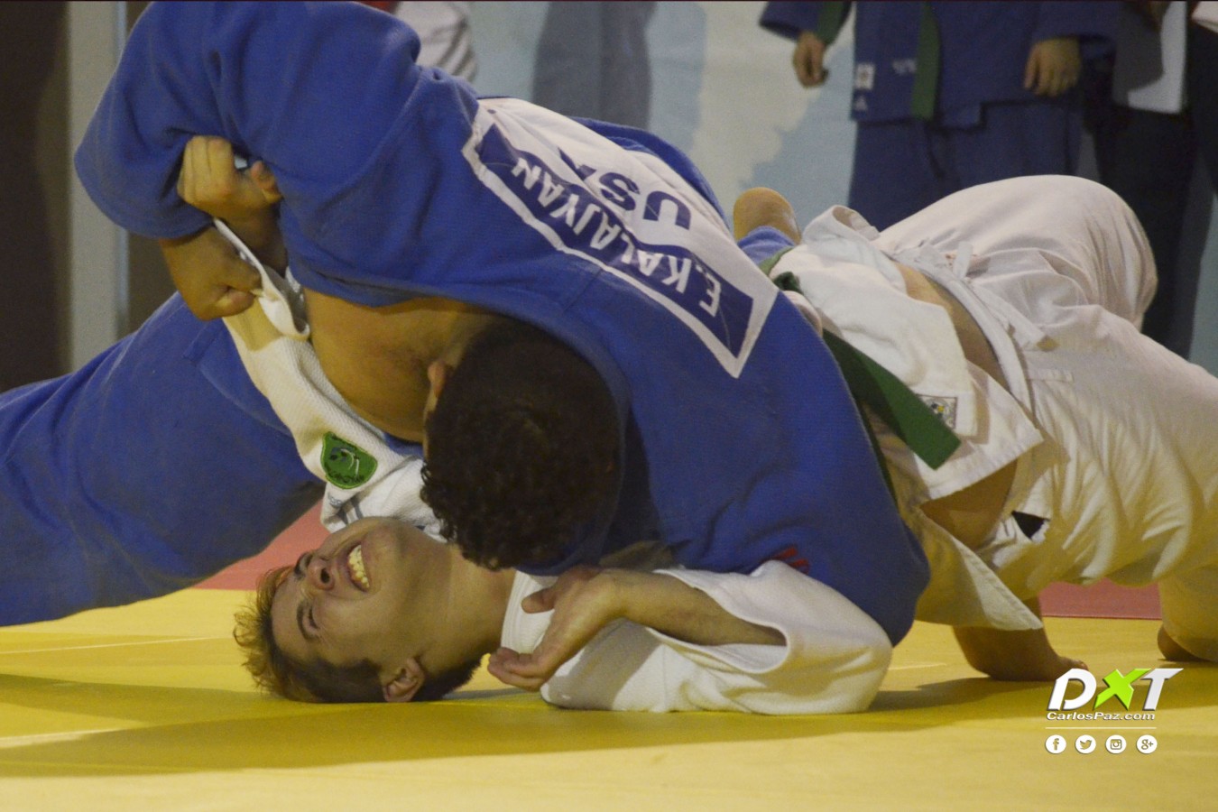 Última al tatami