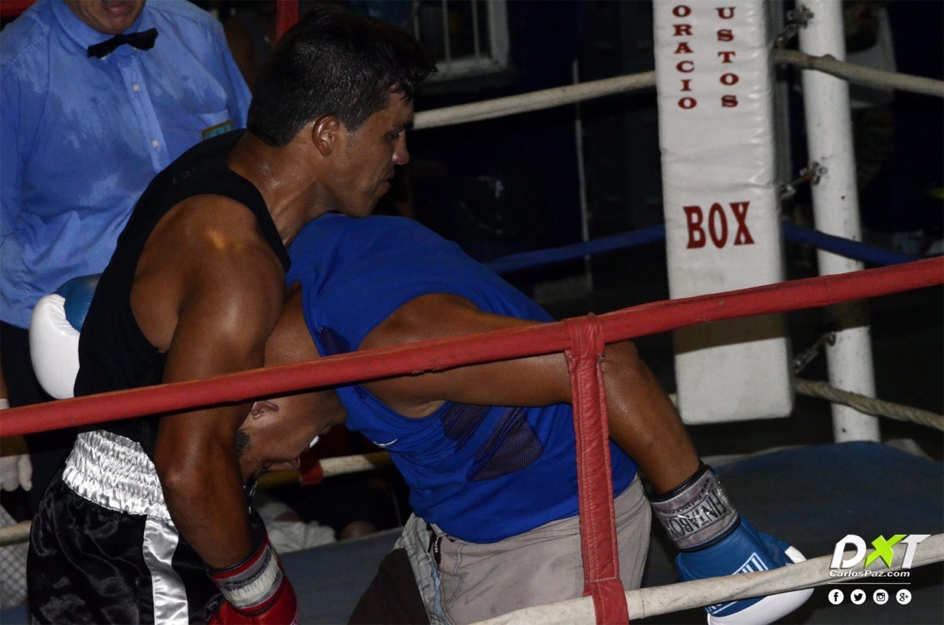 ''Porky'' por la conquista provincial