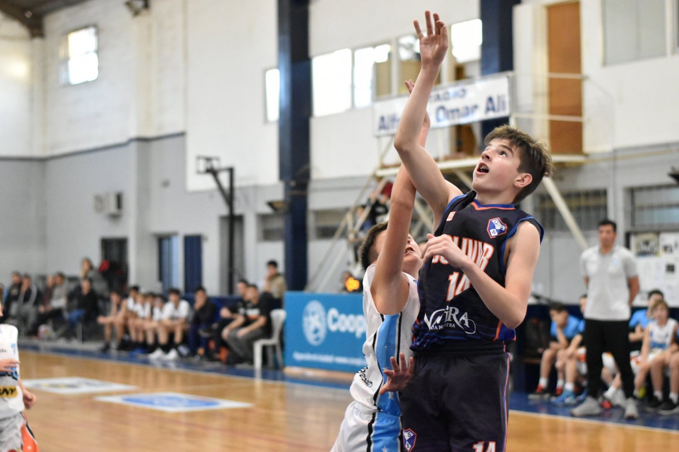 Pequeños aplastantes