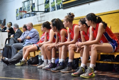 Una docena de selección