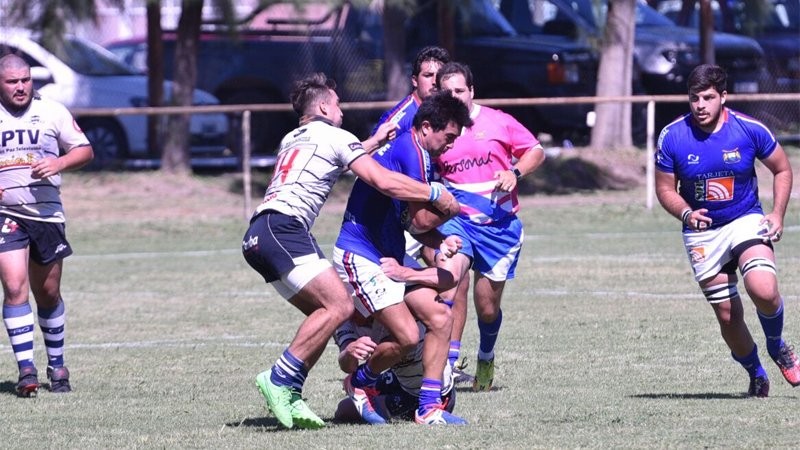 León indomable