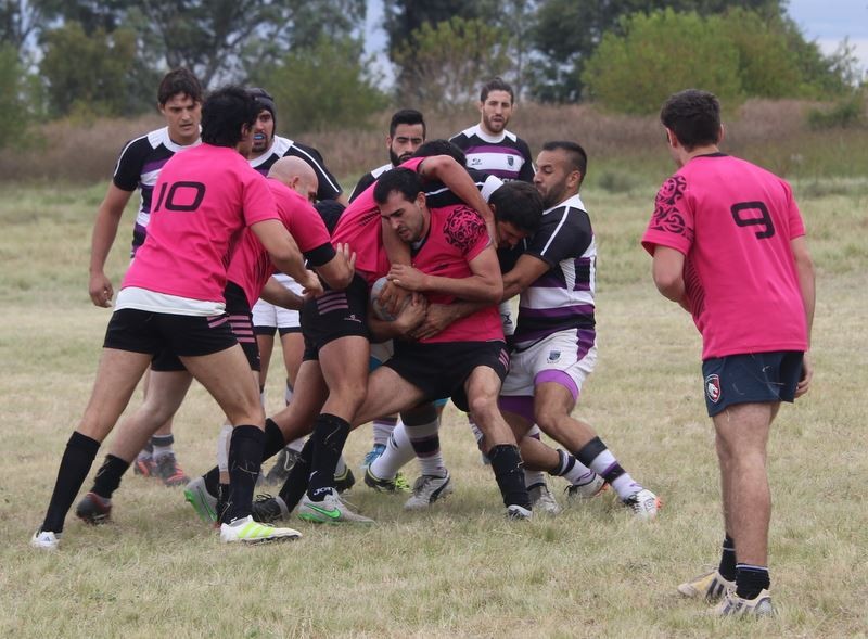 Siguen sumando 