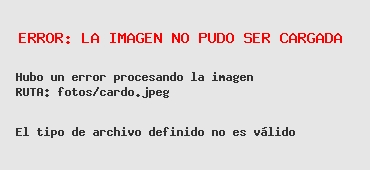 ''Tengo fe en este equipo''