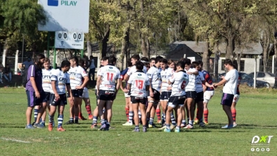 Coyote suspendido 