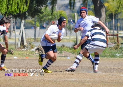 En M15, los 