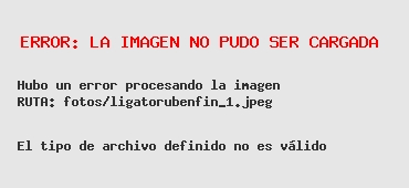 Odisea finlandesa concluída