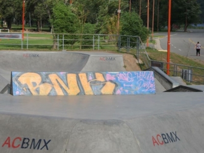 Polémica: Grafitis en el Skate Park